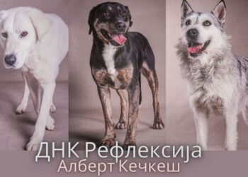 KC Vršac: Izložba fotografija „DNK Refleksija“ Kečkeš Alberta