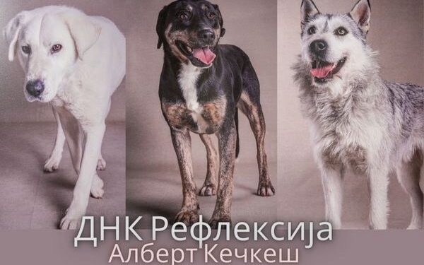 KC Vršac: Izložba fotografija „DNK Refleksija“ Kečkeš Alberta