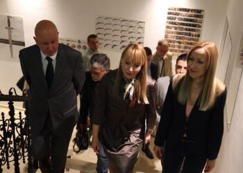 Skupština Grada Vršca imenovala Ivanu Ranimirov za direktorku Gradskog muzeja