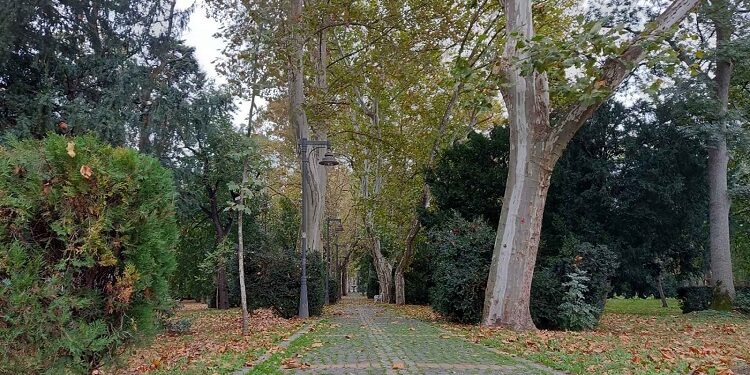 Upozorenje na jak vetar u Vršcu, ne ulazite u park, pazite gde parkirate…