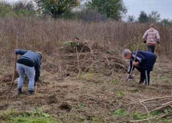 Aktivisti SNS pridružili se akciji meštana Margite