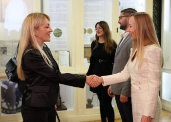 Grad Vršac: Privrednici Vršca obradovaće decu bez roditeljskog staranja