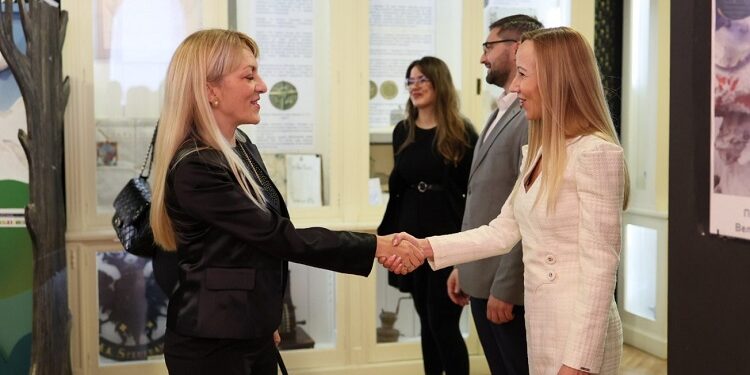 Grad Vršac: Privrednici Vršca obradovaće decu bez roditeljskog staranja
