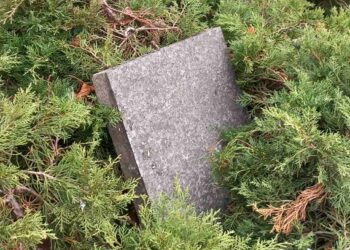 JKP Drugi oktobar odgovorio na vandalizam u Ruskom parku