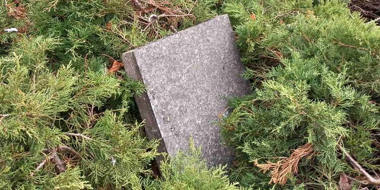 JKP Drugi oktobar odgovorio na vandalizam u Ruskom parku