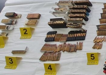 Velika akcija policije: U Vršcu zaplenjeni oružje i droga