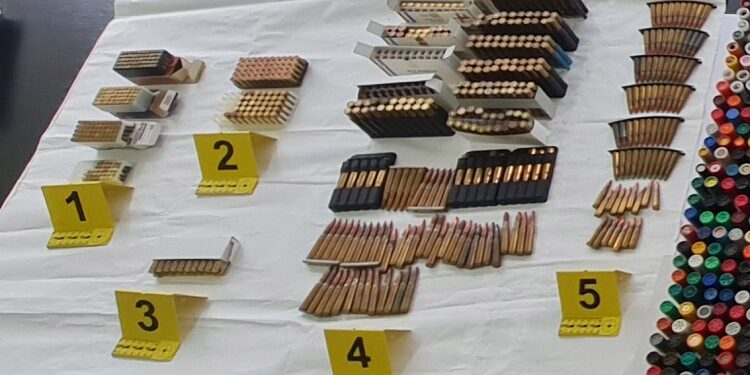 Velika akcija policije: U Vršcu zaplenjeni oružje i droga