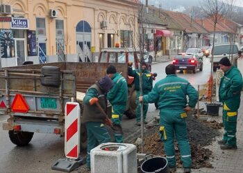 Ulica Vuka Karadžića ulepšana sa 14 novih sadnica