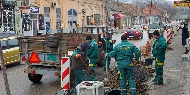 Ulica Vuka Karadžića ulepšana sa 14 novih sadnica