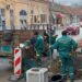 Ulica Vuka Karadžića ulepšana sa 14 novih sadnica