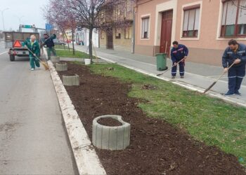 JKP Drugi oktobar obnavlja vršačke zelene površine