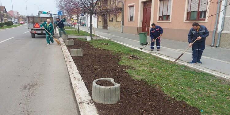 JKP Drugi oktobar obnavlja vršačke zelene površine