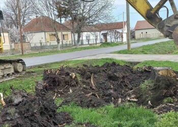 Prolećno uređenje javnih površina u Hajdučici u punom jeku