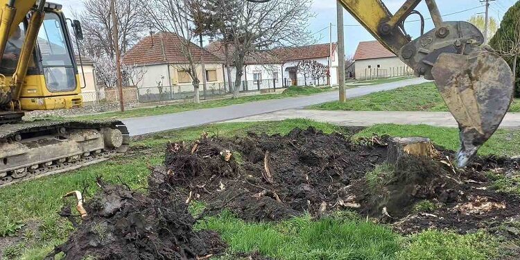 Prolećno uređenje javnih površina u Hajdučici u punom jeku