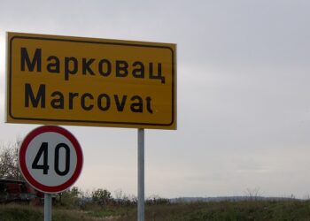 Više javno tužilaštvo o dečaku koji je u Markovcu sekirom pobio jagnjad