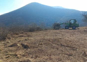 Obnova ekosistema na Vršačkim planinama: Revitalizacija livadskih i stepskih staništa za očuvanje biodiverziteta
