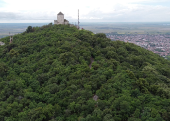 Grad Vršac danas obeležava Svetski dan šuma