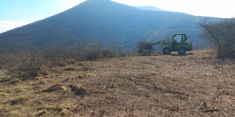 Obnova ekosistema na Vršačkim planinama: Revitalizacija livadskih i stepskih staništa za očuvanje biodiverziteta