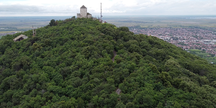 Grad Vršac danas obeležava Svetski dan šuma