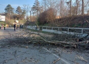 Radovi na očuvanju bezbednosti i infrastrukture kod podvožnjaka na Beogradskom putu