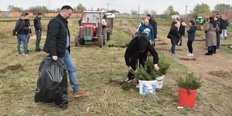 Grad Vršac i Udruženje mladih „Iz principa“ sadili drveće