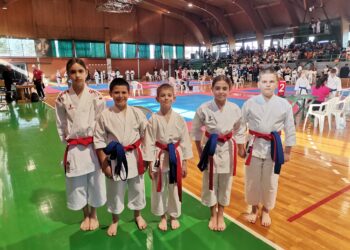 Plandište: Karatisti osvojili osam medalja na prvenstvu Vojvodine
