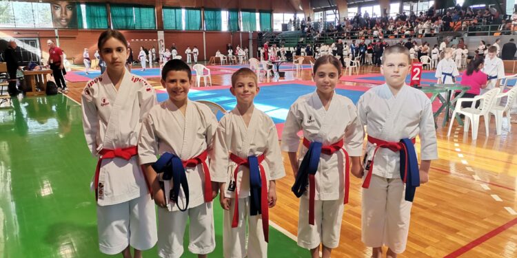 Plandište: Karatisti osvojili osam medalja na prvenstvu Vojvodine