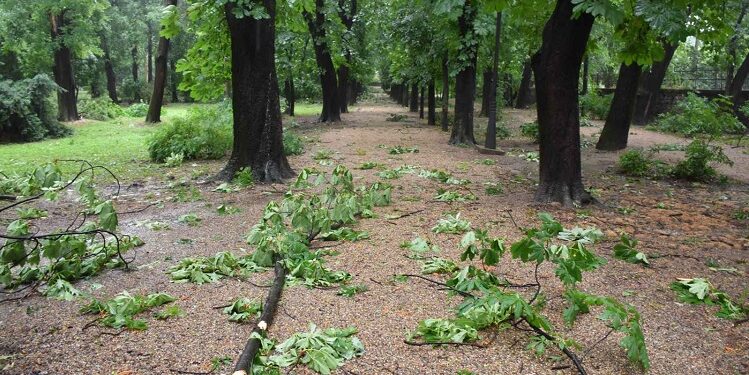 JKP Drugi oktobar: Jak vetar u Vršcu, ne ulazite u park, pazite gde parkirate…