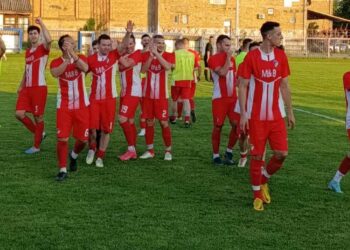 Sloga Banatsko Novo selo – Crvena Zvezda Pavliš 0:3(0:0)