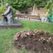 Vršac prednjači u lepoti cvetnih zasada: Bio bi još lepši da se pojedincima cveće ne dopada baš toliko…
