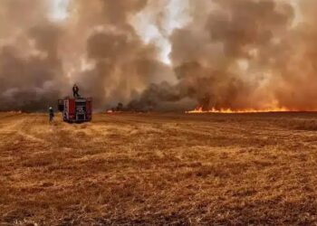 Plandište: Povećan rizik od nastanka požara u atarima