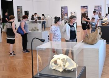 Svet pre civilizacije: Fosili iz beogradskog Prirodnjačkog muzeja izloženi u Vršcu