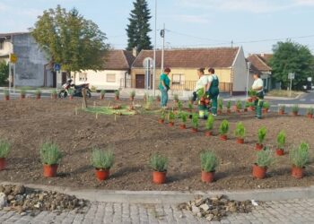 JKP Drugi oktobar „ozelenio“ novi kružni tok