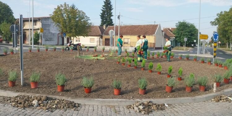 JKP Drugi oktobar „ozelenio“ novi kružni tok