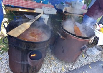 Tradicionalno takmičenje u kuvanju gulaša u Plandištu 29. avgusta