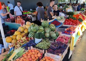 JKP Drugi oktobar: Aktuelni cenovnik sa vršačke pijace