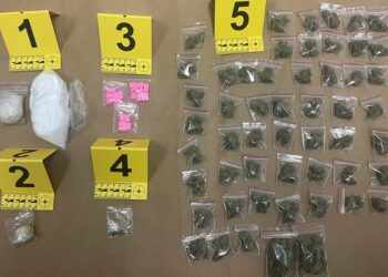 Pao diler iz Alibunara: Amfetamin, marihuana, MDMA, LSD, ekstazi…