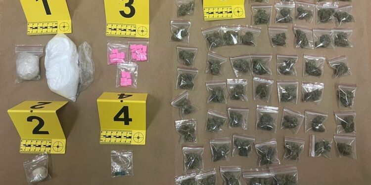 Pao diler iz Alibunara: Amfetamin, marihuana, MDMA, LSD, ekstazi…