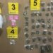 Pao diler iz Alibunara: Amfetamin, marihuana, MDMA, LSD, ekstazi…