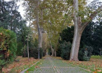 Upozorenje na jak vetar u Vršcu: Ne ulazite u park, pazite gde parkirate…
