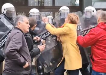 Dragana Rakić nije „elita“: Agresivki preti zatvor? (VIDEO)