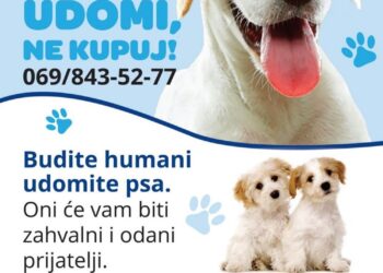 JKP Drugi oktobar: Udomi, ne kupuj!