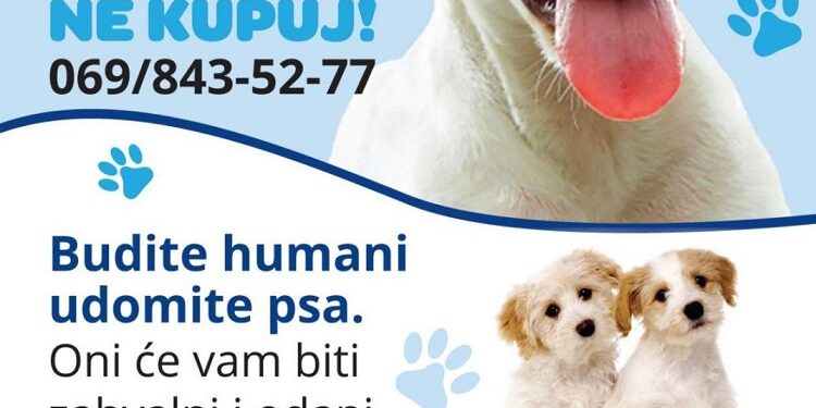 JKP Drugi oktobar: Udomi, ne kupuj!