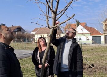 Nove sadnice u Bore Kostića i Zagorke Malivuk