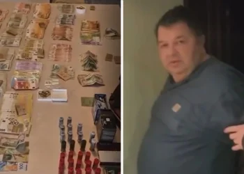 Uspon i pad dinastije Tikić: Detaljna šema organizovane prevare vojvođanskih „Sopranosa“