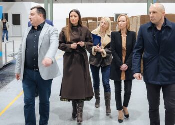Mesarović u Vršcu: Industrijska zona Sever od posebnog značaja za Republiku Srbiju