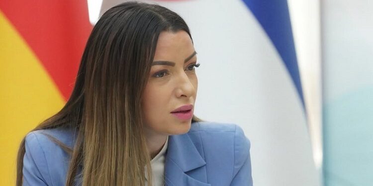 Mesarović: Akcenat Vlade Srbije na razvoj nove Industrijske zone i vršačkog vinogorja