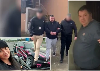 Uspon i pad dinastije Tikić: Detaljna šema organizovane prevare vojvođanskih „Sopranosa“