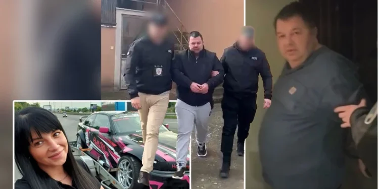 Uspon i pad dinastije Tikić: Detaljna šema organizovane prevare vojvođanskih „Sopranosa“