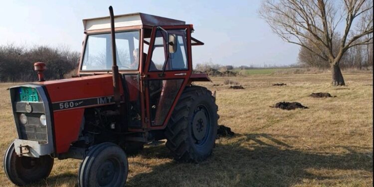 Pošumljavanje rekultivisanog zemljišta u Velikoj Gredi